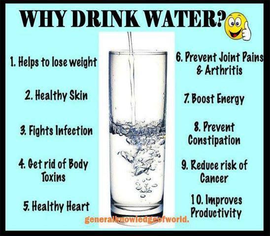 Why Drink Water?